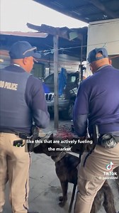 MPA TODAY | FIXING MITCHELL'S PLAIN WITH EFFECTIVE POLICING AND ACTIVE INTELLIGENCE The NCC won’t dare mention this — holding their own voters accountable? Ha! That’s too much work. Instead, they’ll just wag their fingers at the administration for “failing to deliver services to the… brace yourselves… MARGINALIZED.” Because clearly, pointing fingers and buzzwords is the only job they signed up for. Leadership? Nah, that’s someone else’s problem." 🙄🙄🙄🙄🙄 Meanwhile… 🚨 Success in Mitchells Pla