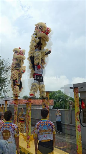 Chinese New Year 2026 CNY Day 10 Acrobatic lion dance by 紫玄宫獅缘玄麒 威武五家 龍獅舘 Shi Yuan Dragon and Lion Dance Sports Kuala Lumpur at DU Life Petaling Jaya. 26 February 2026 | Liondoncefreak
