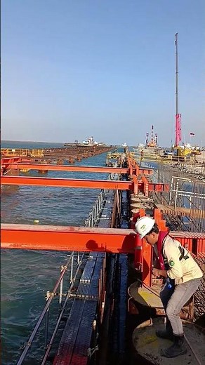 Installation of Falsework for Wharf Pilecap Construction #concreteworks #construction