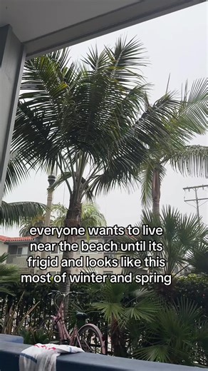 Exploring Santa Barbara's Foggy Beach Scene