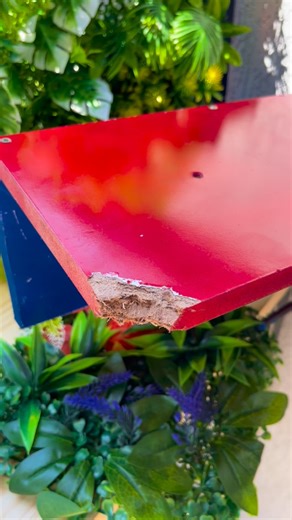 Mestres das Soluções on Instagram: "Como restaurar quina de madeira do jeito profissional #Madeira #Marcenaria #Reparo #Dica #Truque"