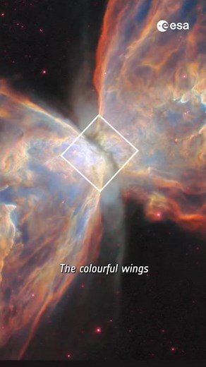 Revealing the hidden star in the Butterfly Nebula 🦋✨