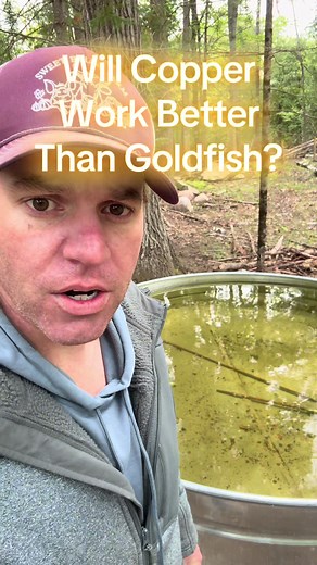 Does Copper Prevent Algae in Livestock Water Tanks?