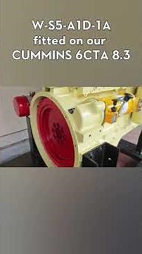 Newest addition to our range of test engines. CUMMINS 6CTA 8.3