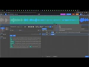 🎥 Dataplus Hindi Audio Annotation with Transcription and QA Training