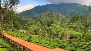 7 Tempat Wisata di Puncak Bogor yang Romantis untuk Pacaran, Kencan Sama Doi Makin Asyik - Tribunnewsbogor.com