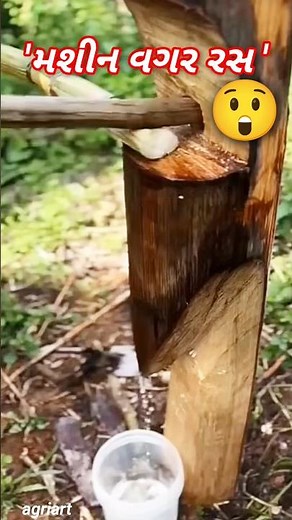 🤯કોઈ મશીન નહીં..ફક્ત લાકડું અને રસ ! #youtubeshorts #jugaad #technique #agriculture #villagelife