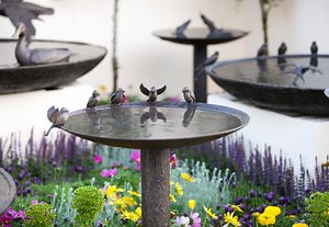 Find out about tradestands at RHS shows  / RHS Gardening