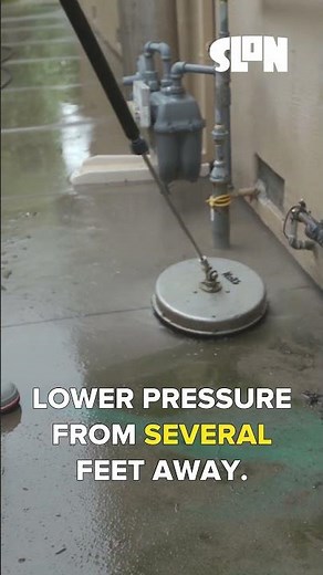 Damage-Free Moss Removal for Concrete Driveways