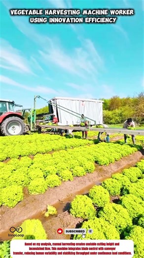 Vegetable Harvesting Machine Worker Using Innovation Efficiency