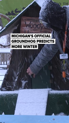 🔗: https://mlive.visitlink.me/jv7kjP Woody the Woodchuck predicts more winter for Michigan, as a steady snow set in at the Howell Nature Center's Groundhog Day celebration. Woody stayed inside her house for 30 seconds leaving us with a prediction of Six more weeks of winter. 🎥:Santino Mattioli | MLive | MLive.com