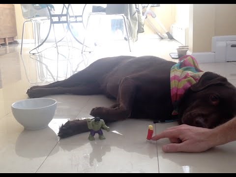 LEGO Marvel Super Heroes - Thor and Hulk - Super Jumpers