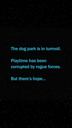 You are your dog’s only hope… for a FREE Star Wars™ upgrade! ✨ Join and get 2X the Star Wars toys and treats. | BarkBox
