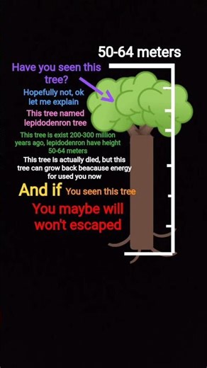 Explanation of Lepidodenron tree #lepidodendron