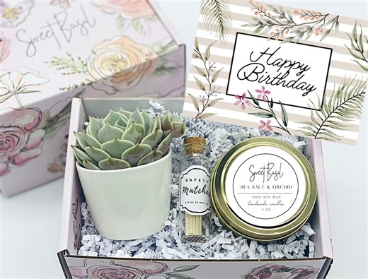 Birthday Gift Box: Succulent, Soy Candle & Matches - Care Package - Etsy