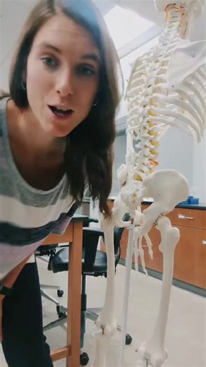 #anatomy #studyhacks #anatomyteacher #studytok #studytips #anatomyandphysiolgy #memorizationtips #osteology #spine #vertebraeanatomy