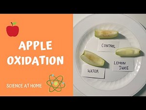 Apple Oxidation