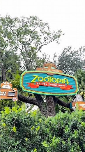 Everything you need to know about the newest Walt Disney World show Zootopia: Better Zoogether