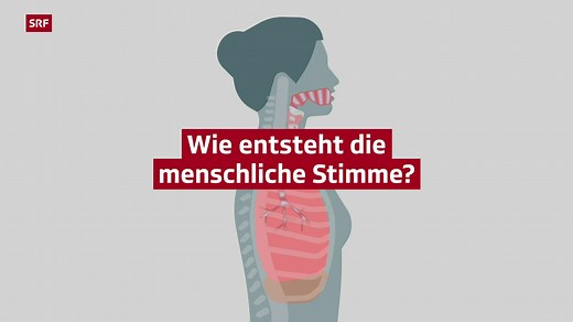 Wissen für alle – Wie entsteht die menschliche Stimme?