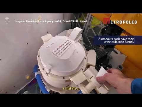 Artemis II: como é banheiro de R$ 156 milhões na nave rumo à Lua