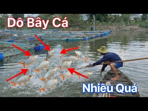Một Ngày Xúc Cá Và Cái kết Trúng Mánh Ở Vợt Đầu...!!