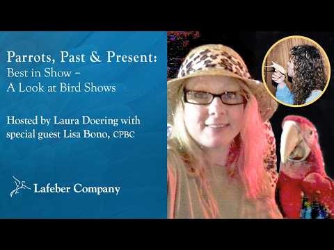 Parrots, Past & Present 5: Best in Show – A Look at Bird Shows