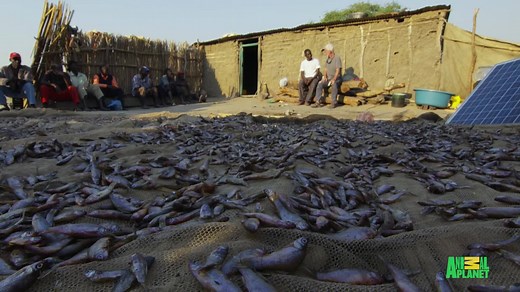 686K views · 865 reactions | Small fishing nets along the Zambezi raises Jeremy's concern on the future of the river. | Animal Planet | Facebook