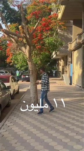 المهندسين شارع شهاب — شقة للبيع أو للإيجار (اتصال مباشر)