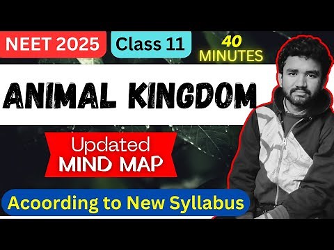 Mind Map - Animal Kingdom | NEET 2025 Class 11
