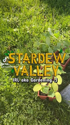 Stardew Valley IRL aka Gardening: Cabbage and Cucumbers
