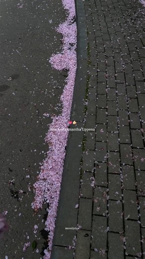 Nee andhamantha uppena | #telugulovesongs #explore #uppena #viralshorts