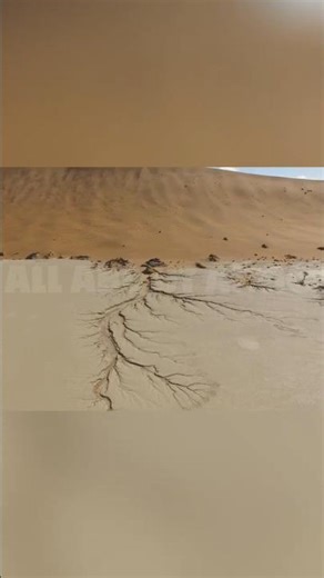 Deadvlei: Namibia's Surreal Desert Skeleton Trees