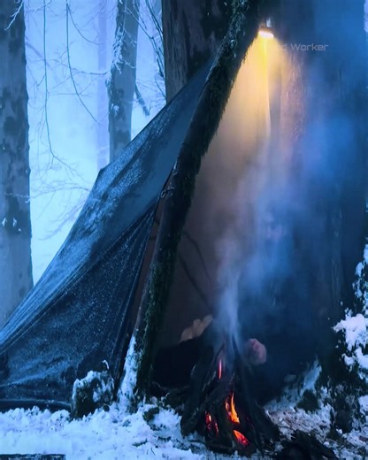 Primitive skills in action #Bushcraft #Survivalist #outdoorcooking #WildernessSkills #outdoors #campfirecooking #BushcraftCamping #BackCountryLiving #OutdoorAdventure #BushcraftSurvival #cozyvibes #OutdoorSurvival #WinterAdventures #SurvivalSkills #campinglife | Wood Worker