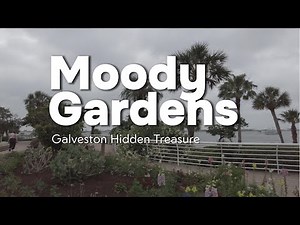 Walking Tour of Galveston Island & Moody Gardens | Coastal Views, Pyramids & Tropical Escapes!