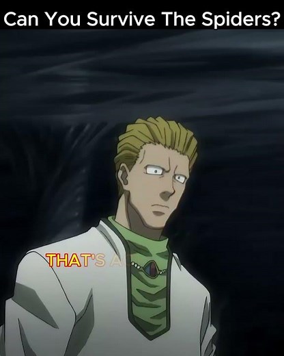Can You Survive The Spiders? | Hunter × Hunter