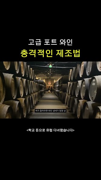 포르투갈 와이너리 투어, 고급 포트 와인의 제조 비밀 #포르투갈 #와인 #와인시음 #포트와인 #대학생 #여행 #wine #tasting #fyp #pov