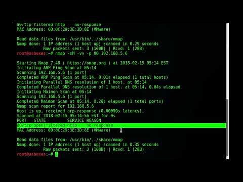 Top Cybersecurity Expert Shares Shocking Nmap Secrets