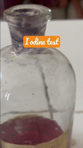 Iodine test for starch #labexperiment #laboratory #science #scienceexperiment #biology