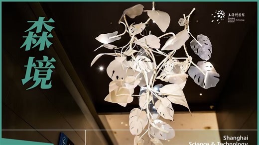 艺术家泰斯•比斯克采用了艺术与科技相融合的创作手法，传递出人类身处全球生态系统的理念。装置中每片叶子闪烁一下，代表了9平方米的森林在中国重焕生机。