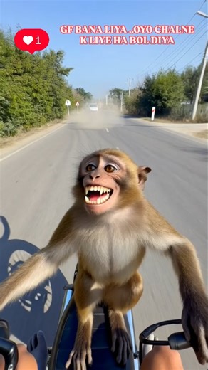 foxxi creativity | Funny monkey ENJOY❤️#viral #bike #funnyvideo #comedy #monkey | Instagram