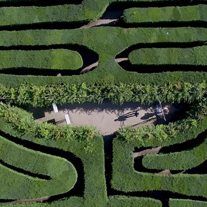 Discover glorious gardens, admire Henry VIII's Great Hall, run wild in the Magic Garden and step back in time in the Tudor Kitchens. | Hampton Court Palace