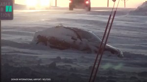 164K views · 408 reactions | President Donald Trump’s latest tweet suggests he doesn’t know the difference between climate and weather. | HuffPost Politics | Facebook