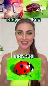 Master Compound Nouns in English: Speak Like a Native FAST!