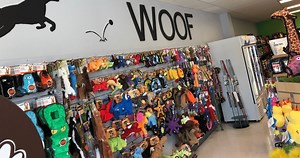 Employment Application