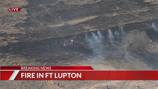 Crews respond to vegetation fire near Fort Lupton