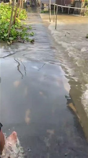 banjir ogan ulu hari ini