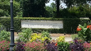 Daniel Island Park - Charleston Homes For Sale  | James Schiller Team