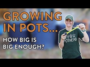 Pot Size Perfection: Maximize Your Vegetable Garden’s Potential!