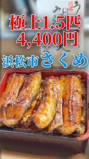 [Incredible Value for Money] 1.5 eels for 4400 yen!? Sakume's famous "Unaju Dai" #eel #Sakume #Ha...