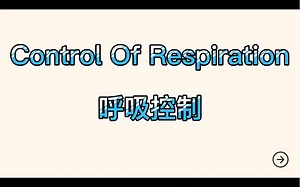 呼吸控制（Control of Respiration）